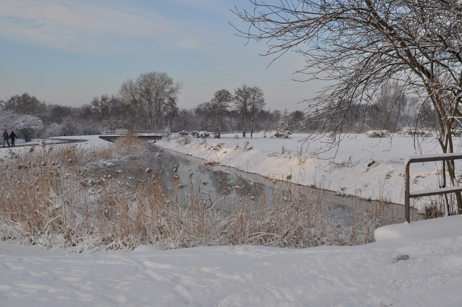 Winterbild