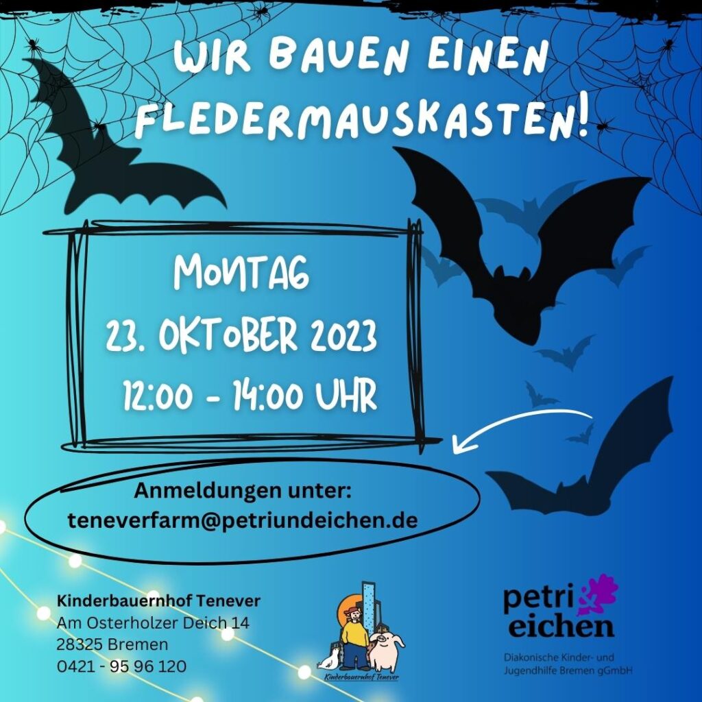 Fledermauskasten bauen
