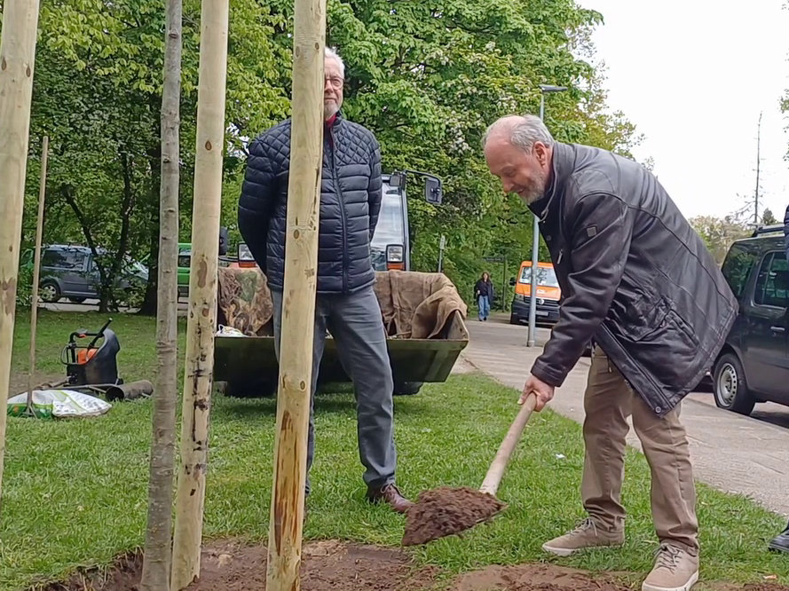 Schlüter pflanz eine Eiche